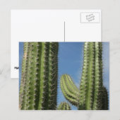 バレルサボテンI砂漠の写真 ポストカード (正面/裏面)