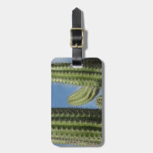 バレルサボテンI砂漠の写真 ラゲッジタグ (正面縦)