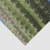 バレルサボテンI砂漠の写真 薄葉紙 (詳細)