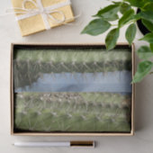 バレルサボテンI砂漠の写真 薄葉紙 (ギフト)