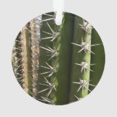 バレルサボテンII砂漠自然写真 オーナメント (裏面)