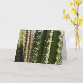 バレルサボテンII砂漠自然写真 カード (黄色い花)