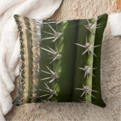 バレルサボテンII砂漠自然写真 クッション (ブランケット)