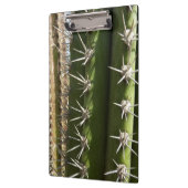 バレルサボテンII砂漠自然写真 クリップボード (左)