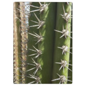 バレルサボテンII砂漠自然写真 クリップボード (裏面)