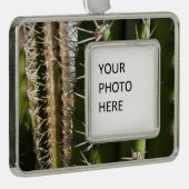 バレルサボテンII砂漠自然写真 シルバープレートフレームオーナメント (右)