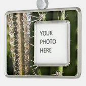 バレルサボテンII砂漠自然写真 シルバープレートフレームオーナメント (左)