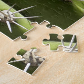 バレルサボテンII砂漠自然写真 ジグソーパズル (側面)