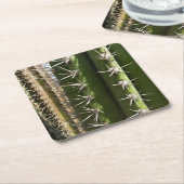 バレルサボテンII砂漠自然写真 スクエアペーパーコースター (アングル)