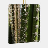 バレルサボテンII砂漠自然写真 セラミックオーナメント (右)