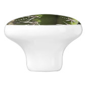 バレルサボテンII砂漠自然写真 セラミックノブ (側面)