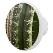 バレルサボテンII砂漠自然写真 セラミックノブ (右)