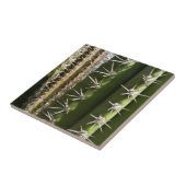 バレルサボテンII砂漠自然写真 タイル (側面)