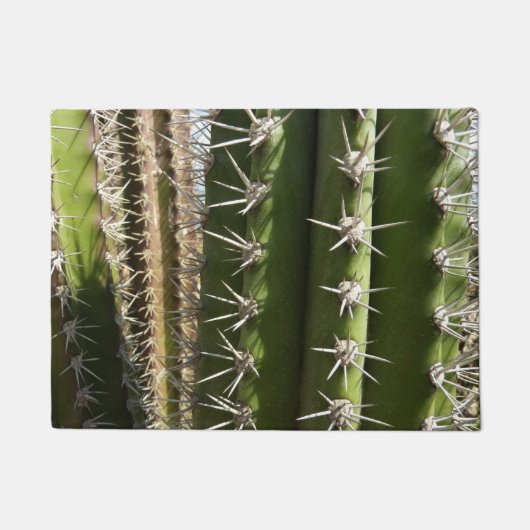 バレルサボテンII砂漠自然写真 ドアマット (正面)