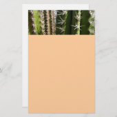 バレルサボテンII砂漠自然写真 便箋 (正面/裏面)