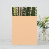 バレルサボテンII砂漠自然写真 便箋 (スタンド正面)