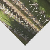 バレルサボテンII砂漠自然写真 薄葉紙 (詳細)