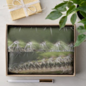 バレルサボテンII砂漠自然写真 薄葉紙 (ギフト)