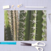 バレルサボテンII砂漠自然写真 薄葉紙 (クラフト)