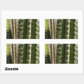 バレルサボテンII砂漠自然写真 長方形シール (シート)