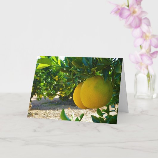 バレンシアオレンジグローブポートレート カード (蘭)