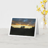 バレンシア地方の風景 カード (黄色い花)