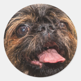 バレンシア！ ラウンドシール