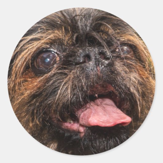 バレンシア！ ラウンドシール (正面)