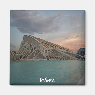 バレンシア"Ciudad de las artes yのlasのciencias " マグネット