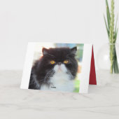 バレンタインが大好きなペルシャ猫 シーズンカード (裏面)