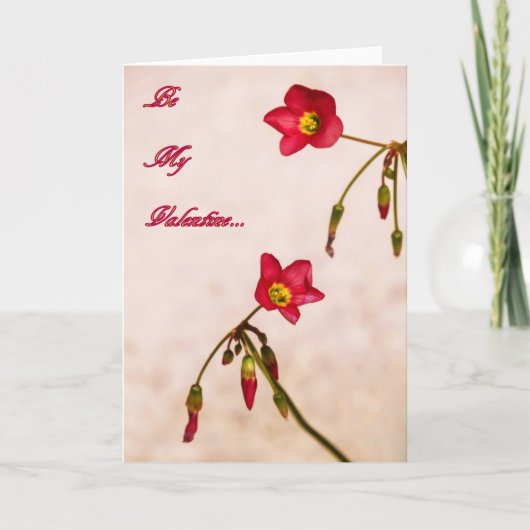 バレンタインになれ シーズンカード (正面)