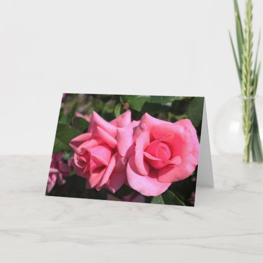 バレンタインにぴったりな濃いピンクのバラの花2輪。愛 シーズンカード (正面)
