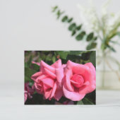 バレンタインにぴったりな濃いピンクのバラの花2輪。愛 ポストカード (スタンド正面)