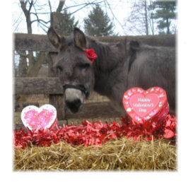 "バレンタインに私を愛して！" ホリデーカード