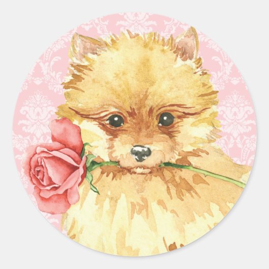 バレンタインのばら色のポメラニア犬 ラウンドシール (正面)