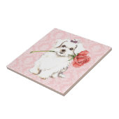 バレンタインのばら色のマルチーズ タイル (側面)