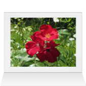 バレンタインのギフト券 (内部横(上))