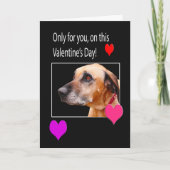 バレンタインのローデシアンのリッジバックのためにのみ シーズンカード (正面)