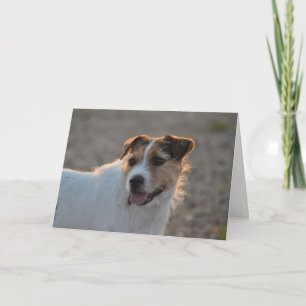バレンタインの型枠犬 シーズンカード