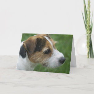 バレンタインの型枠犬 シーズンカード