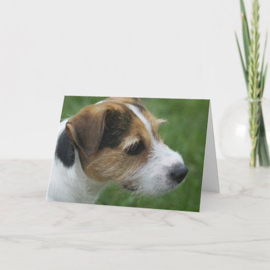 バレンタインの型枠犬 シーズンカード (正面)
