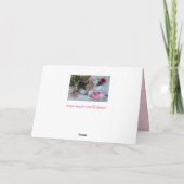 バレンタインの子ネコの挨拶状 カード (裏面)