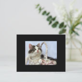 バレンタインの子ネコACEOの芸術のトレーディングカード シーズンポストカード (スタンド正面)