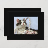 バレンタインの子ネコACEOの芸術のトレーディングカード シーズンポストカード (正面/裏面)