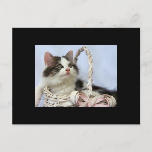 バレンタインの子ネコACEOの芸術のトレーディングカード シーズンポストカード (正面)