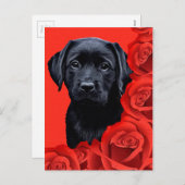 バレンタインの子犬バラ-ラブラドール- Black Lab シーズンポストカード (正面/裏面)