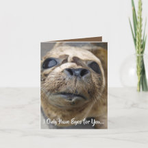 バレンタインの目