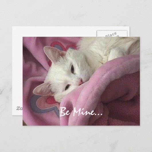 バレンタインの郵便はがき シーズンポストカード (正面/裏面)