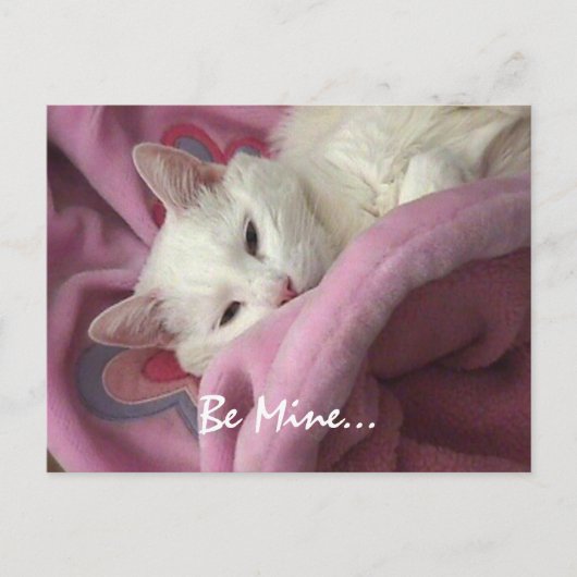 バレンタインの郵便はがき シーズンポストカード (正面)