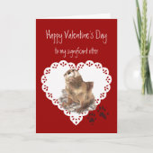 バレンタインの重要なカワウソ動物のユーモア シーズンカード (正面)